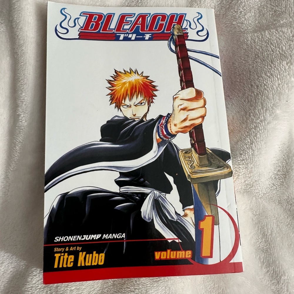 Bleach Volume 1 Manga